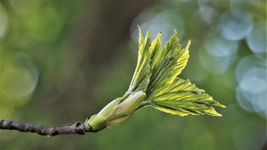 Sustainable building consulting across all project phases